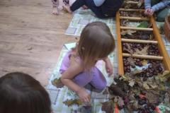 46cce772-568e-4179-8785-0ef3eca2ce2a