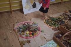 5297dc16-530c-4a3e-8434-ac1de572ac0d