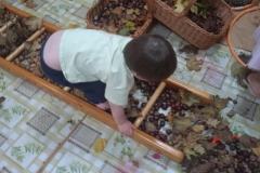 59cf555e-b812-4220-ad8f-ab3988e6c125