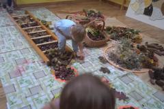 9e383100-06e0-4b84-ba7f-7a0ed38d5003