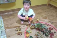 6293d201-6efc-47f6-9040-5879d98d6695