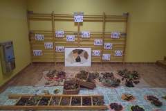 7674069f-2739-41c5-ac52-288986686545