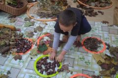 a30626f3-5cc3-4ece-b6f7-98ab39a02a0f