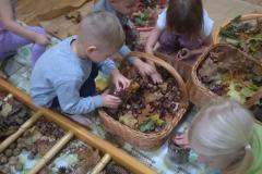 b9ef205d-fda5-4dfd-a661-ed4d2ef847a9