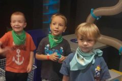 20517498-4cf3-4f19-902f-20ca05ff3284