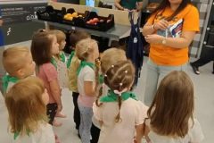 2643edb3-6644-495a-ae57-cdb76f2f1d55