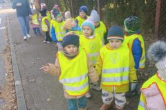 24e5e4c7-c43e-4dfe-a8dc-91c6fe9475b6