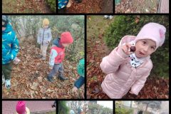 Collage_20251013_192245918