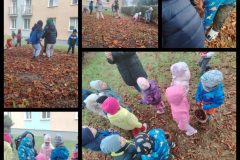 Collage_20251013_192315146