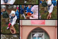 Collage_20251013_192339453