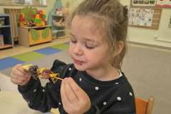 554541762_794489229963560_1277786978607329922_n