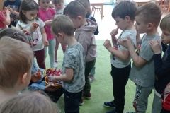 IMG_20230412_102722