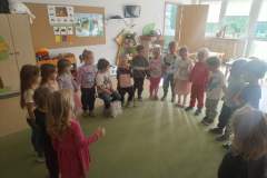 5ea5f9a4-4e78-42c9-8069-075d7fa72045