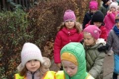 IMG_20231114_105910