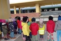 IMG_20231114_113451