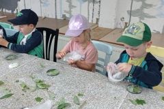 IMG_20230531_102252