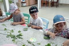 IMG_20230531_102544