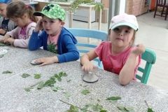 IMG_20230531_102554