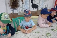 IMG_20230531_102636