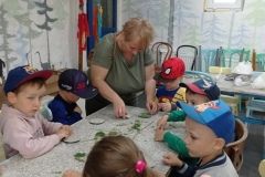 IMG_20230531_102638