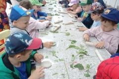 IMG_20230531_103027