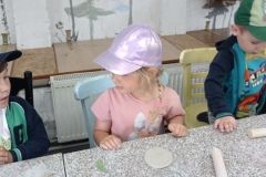 IMG_20230531_103130