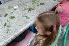 IMG_20230531_103232