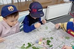 IMG_20230531_103433
