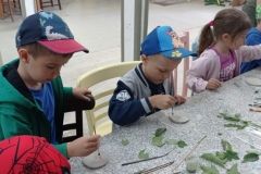 IMG_20230531_103451