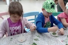 IMG_20230531_103502