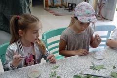 IMG_20230531_103607