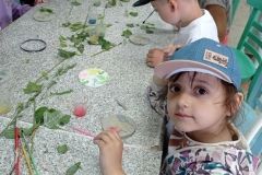 IMG_20230531_103710