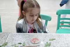 IMG_20230531_104108