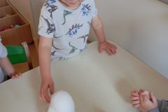 IMG_20251128_111649