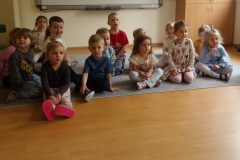 KODAK Digital Still Camera