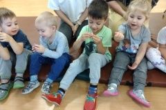 IMG_20231004_091741219