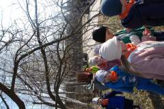 KODAK Digital Still Camera