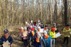 KODAK Digital Still Camera