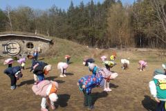 KODAK Digital Still Camera