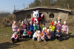 KODAK Digital Still Camera