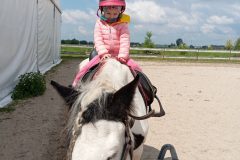 IMG_20250519_110127