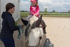 IMG_20250519_110355