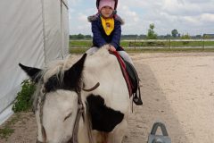 IMG_20250519_112339