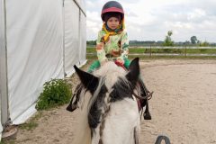 IMG_20250519_112946