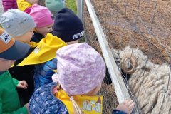 IMG_20250519_104002