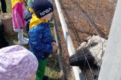 IMG_20250519_104018