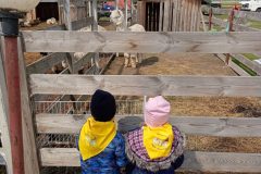 IMG_20250519_104042