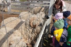 IMG_20250519_104121