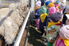 IMG_20250519_104128