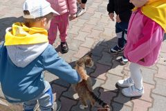 IMG_20250519_104335